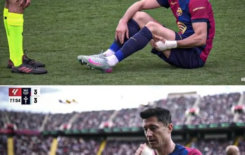 开云体育登录-关于莱万多夫斯基在公牛比赛中领先优势明显，败北引发热议！的信息